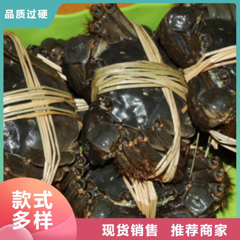 阳澄湖蟹哪里买苏州莲花岛