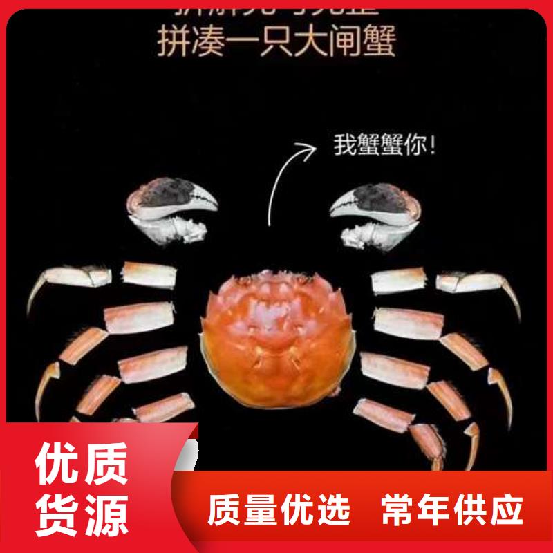 经验丰富品质可靠【螃蟹】 阳澄湖大闸蟹常年供应