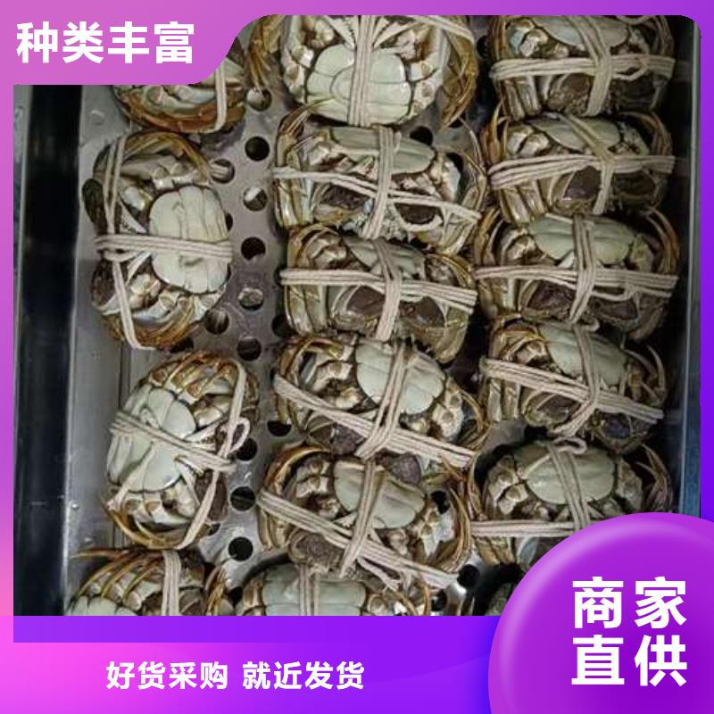螃蟹-【阳澄湖大闸蟹】一站式供应厂家顾记阳澄湖大闸蟹