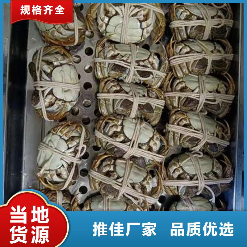 【螃蟹】,阳澄湖大闸蟹网上订购满足客户需求-可发货到津南|西青|武清|宝坻