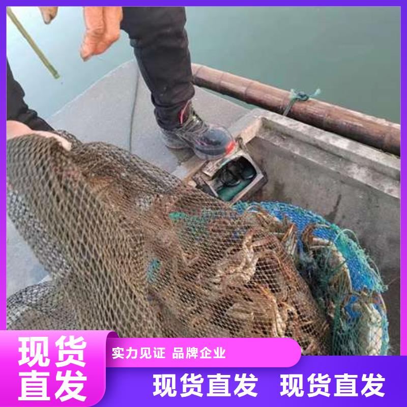 顾记阳澄湖大闸蟹螃蟹-【阳澄湖大闸蟹】制造生产销售28354.com