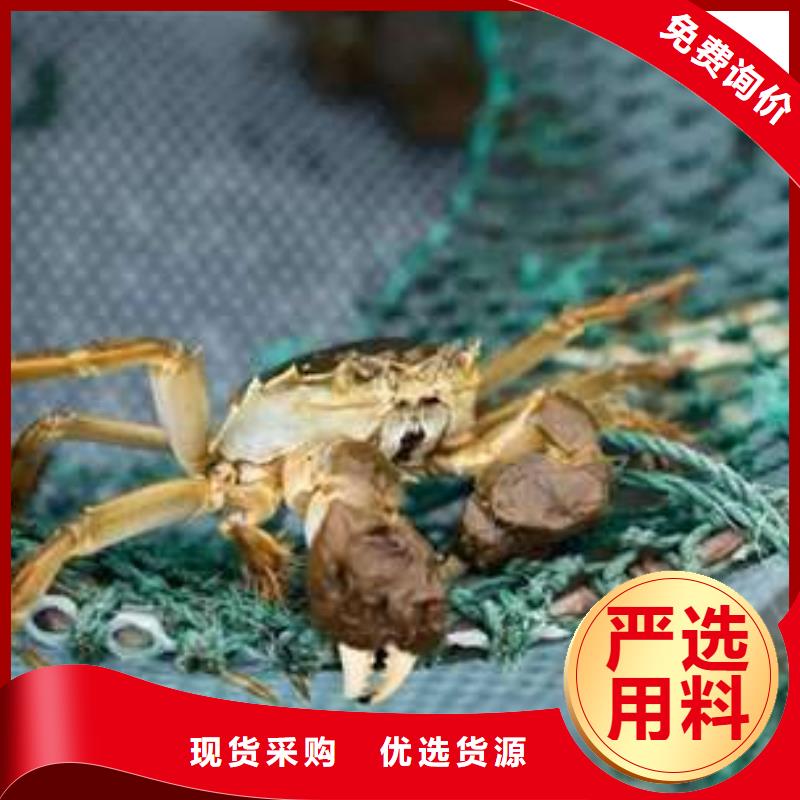 顾记阳澄湖大闸蟹【螃蟹】 阳澄湖大闸蟹设计制造销售服务一体28354.com