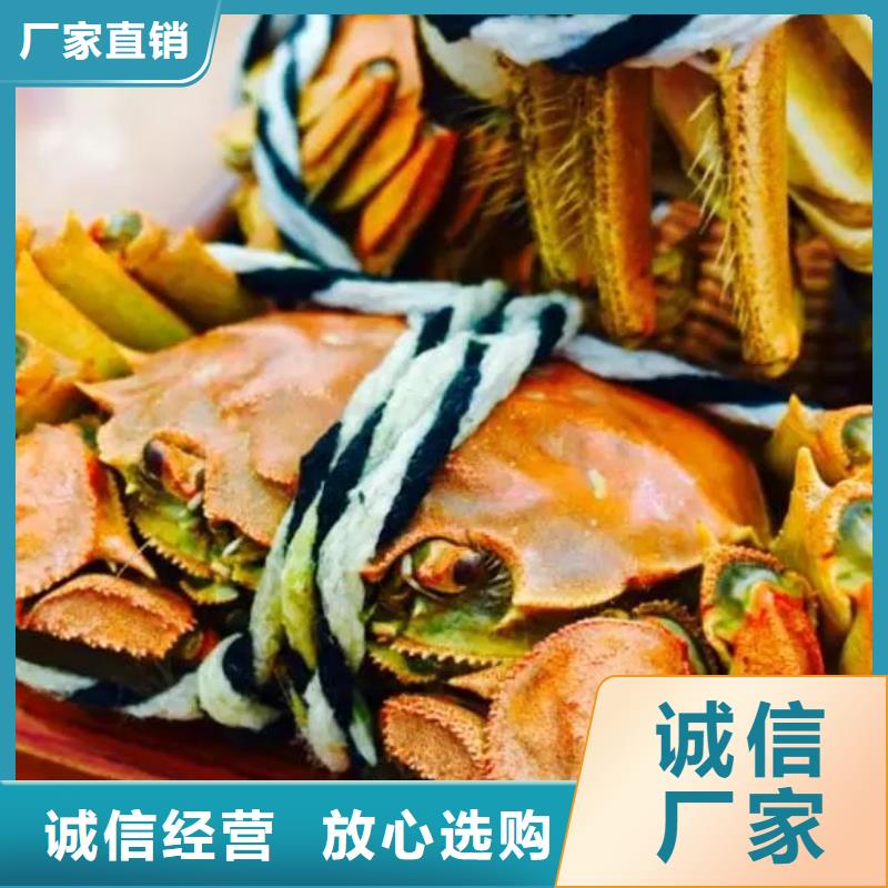 欢迎访问-阳澄湖大闸蟹厂家