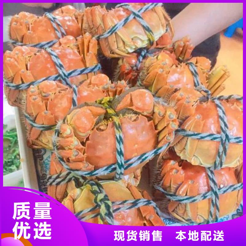螃蟹-【阳澄湖大闸蟹包邮】快捷的物流配送|金塔|瓜州|平凉|嘉峪关|临夏|陇南公司