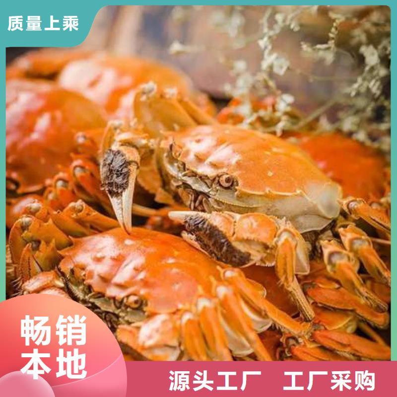 阳澄湖大闸蟹顾记【 螃蟹,阳澄湖大闸蟹精选厂家好货】