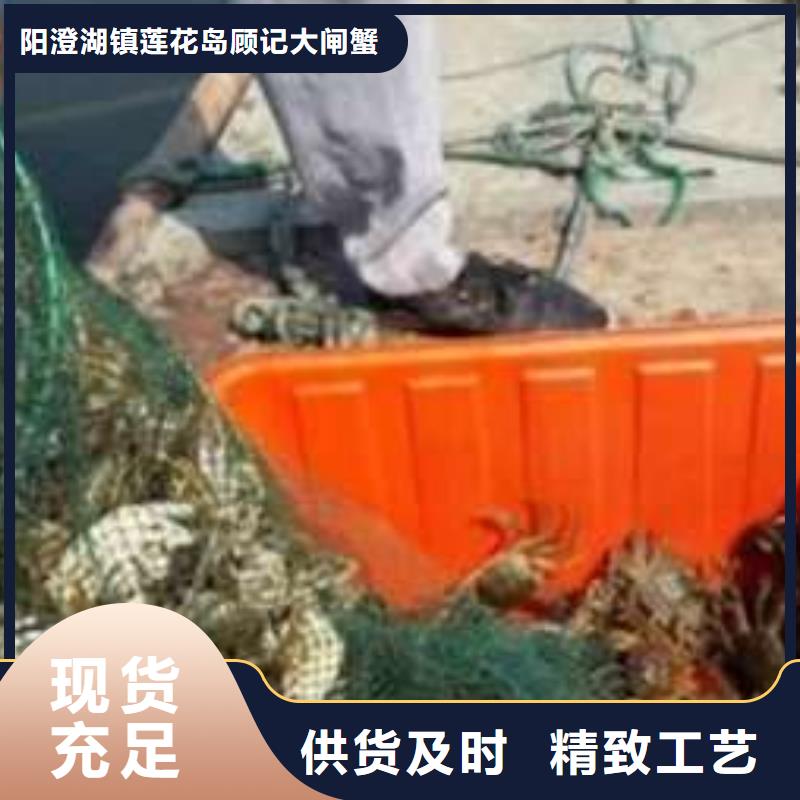 阳澄湖大闸蟹顾记【 螃蟹,阳澄湖大闸蟹精选厂家好货】