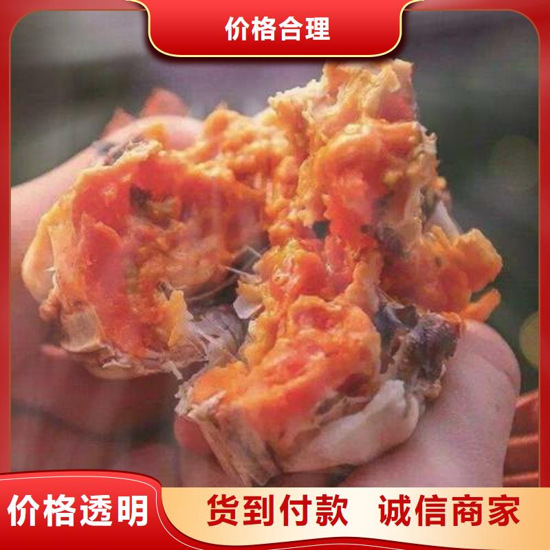 螃蟹-【阳澄湖大闸蟹】一站式供应厂家顾记阳澄湖大闸蟹