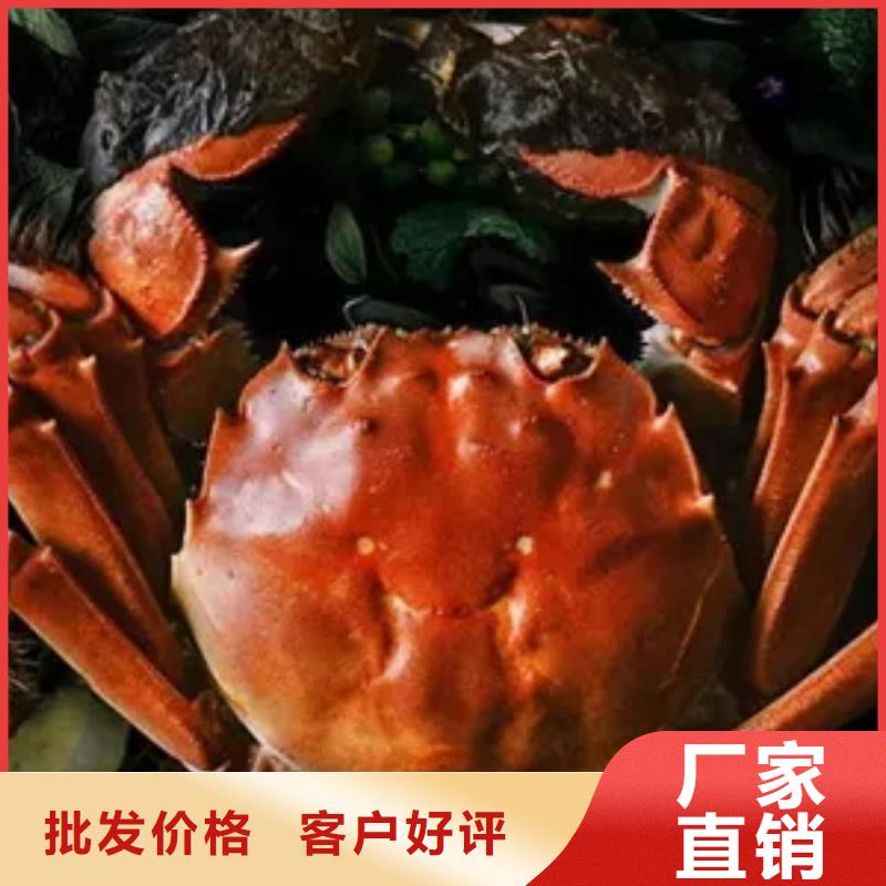 阳澄湖大闸蟹顾记【 螃蟹,阳澄湖大闸蟹精选厂家好货】