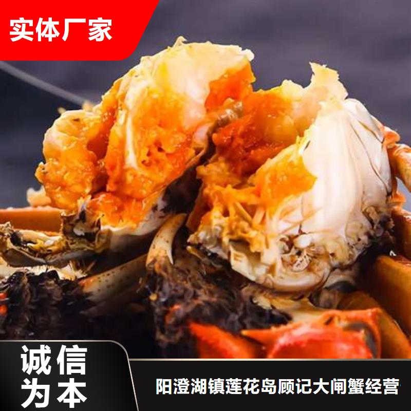 螃蟹-【阳澄湖大闸蟹包邮】快捷的物流配送|金塔|瓜州|平凉|嘉峪关|临夏|陇南公司