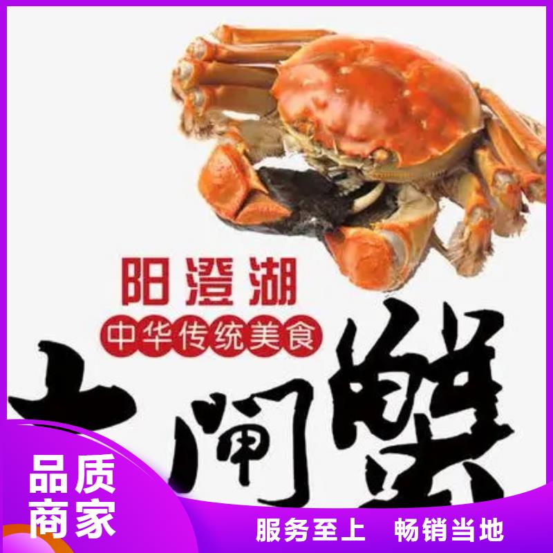 螃蟹-【阳澄湖大闸蟹】一站式供应厂家顾记阳澄湖大闸蟹