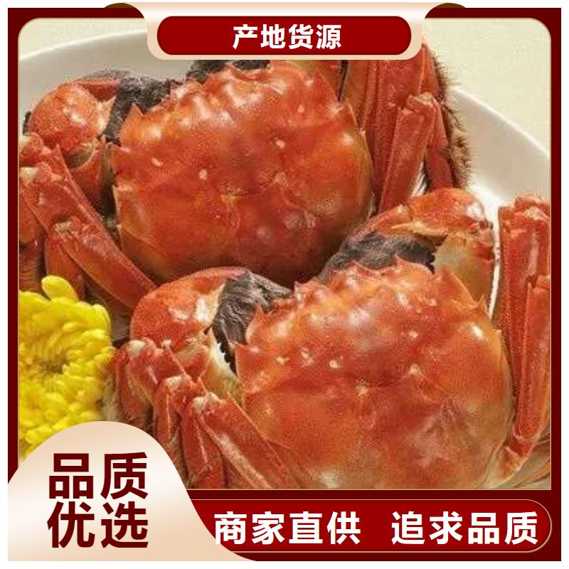 顾记阳澄湖大闸蟹螃蟹-【阳澄湖大闸蟹】制造生产销售28354.com