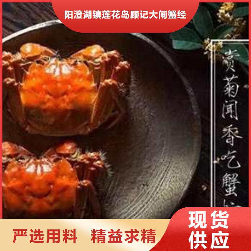 阳澄湖大闸蟹顾记【 螃蟹,阳澄湖大闸蟹精选厂家好货】
