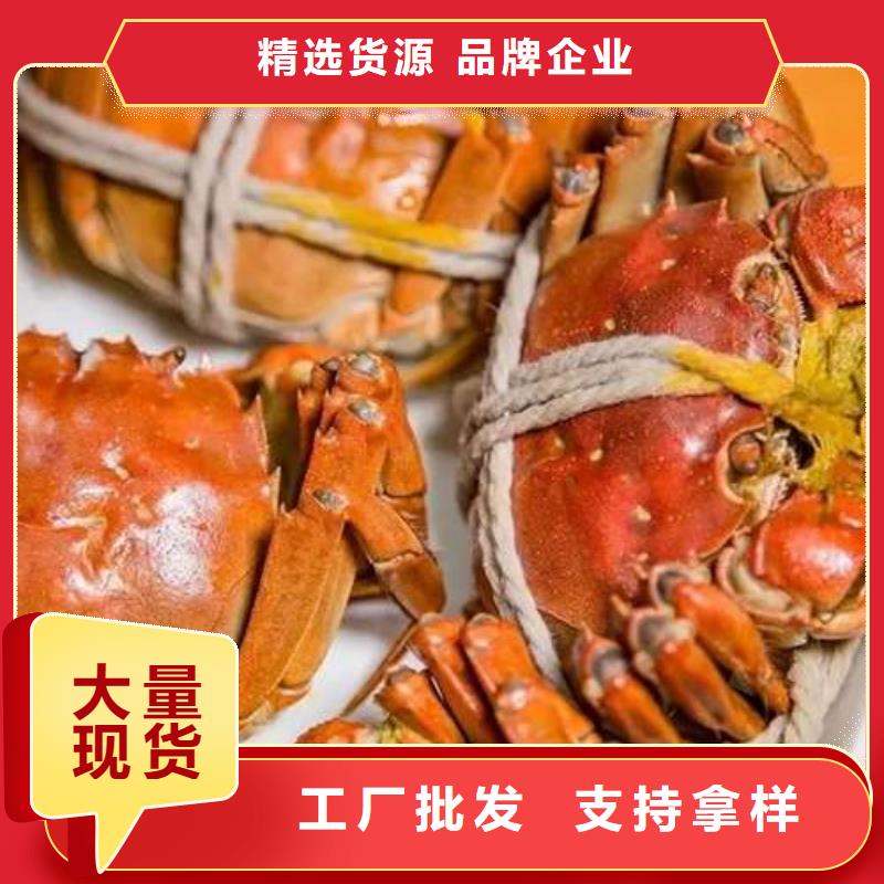 【螃蟹】,阳澄湖大闸蟹网上订购满足客户需求-可发货到津南|西青|武清|宝坻