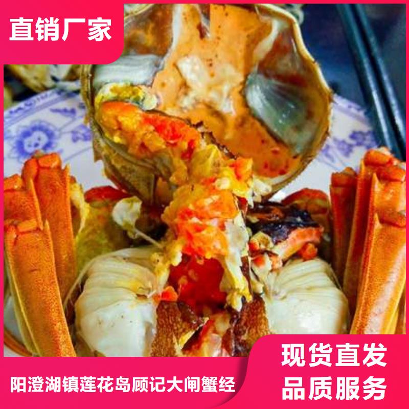 阳澄湖大闸蟹顾记【 螃蟹,阳澄湖大闸蟹精选厂家好货】
