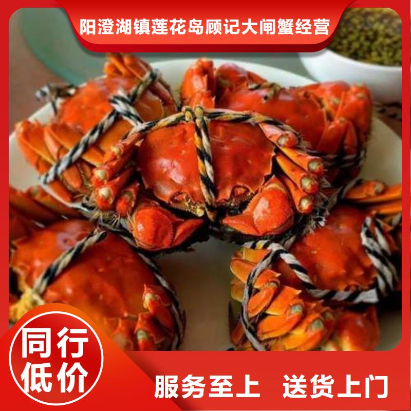 阳澄湖大闸蟹顾记【 螃蟹,阳澄湖大闸蟹精选厂家好货】