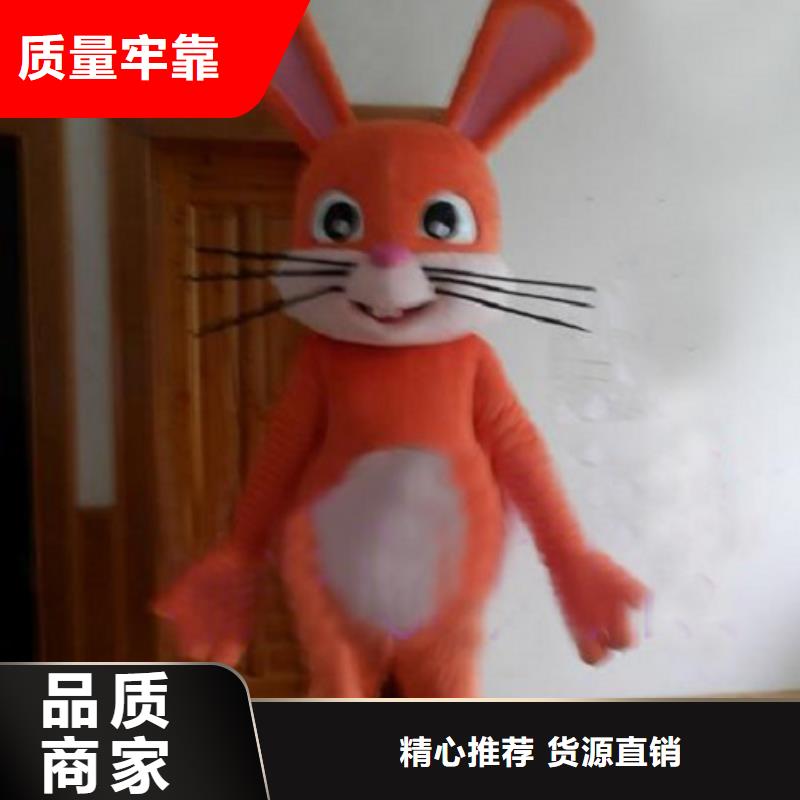 动漫服装-卡通人偶服装定制玩偶服定做制作厂家厂家案例