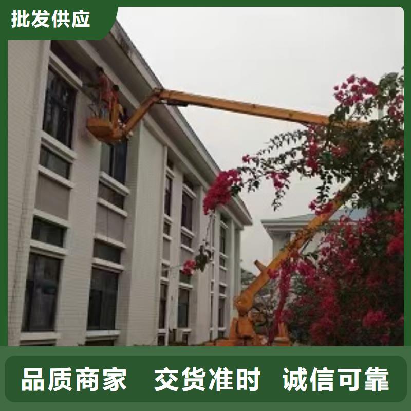 高空车出租租赁吊篮车好货直销