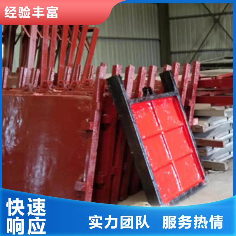 经验丰富的高压铜止水铸铁闸门公司
