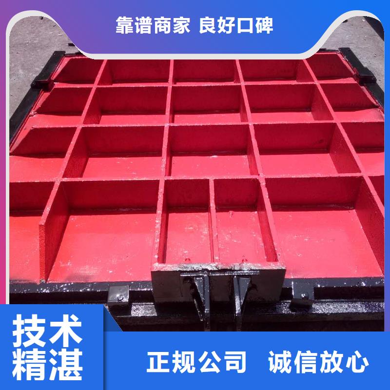 启闭机闸门-pz平板平面铸铁闸门源头厂家