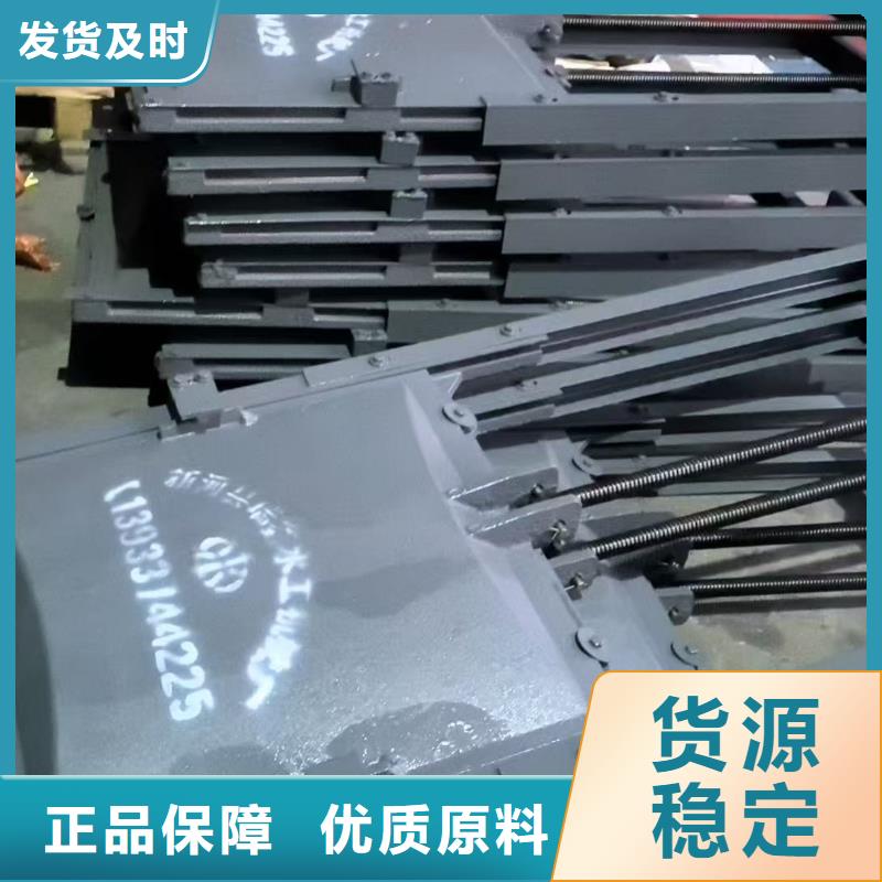 渠道闸门-机闸一体铸铁闸门服务贴心