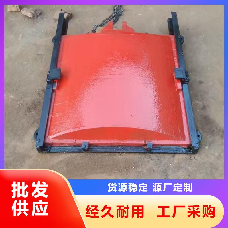 pgz铸铁闸门	厂家行业口碑好