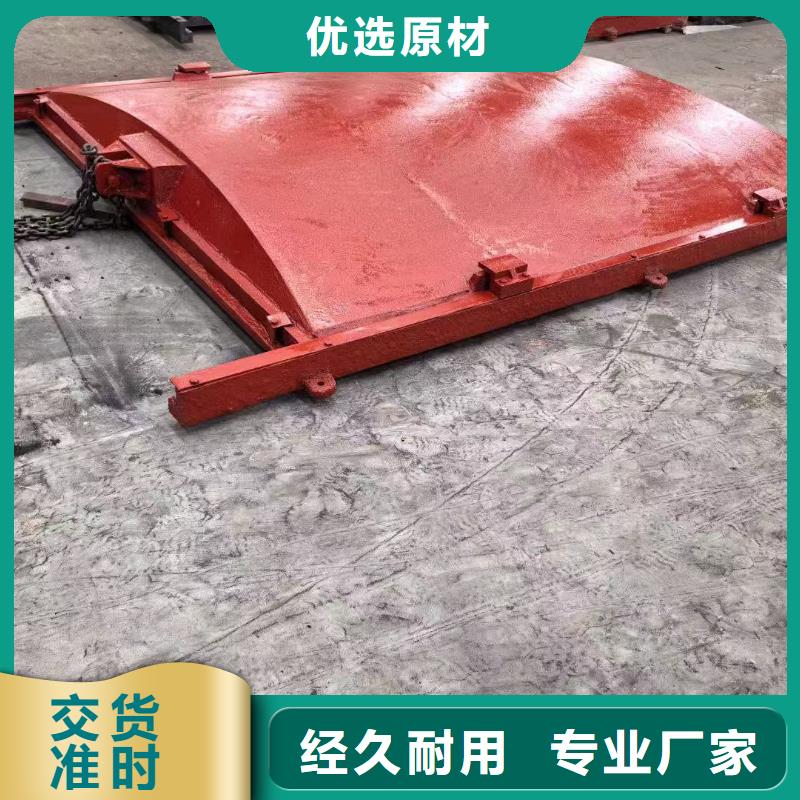 屯昌县铸铁镶铜闸门-水坝止水闸门启闭机环保型