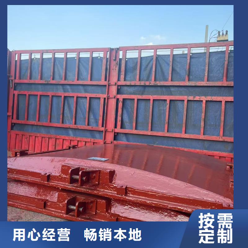 河道铸铁闸门-水闸闸门经验丰富