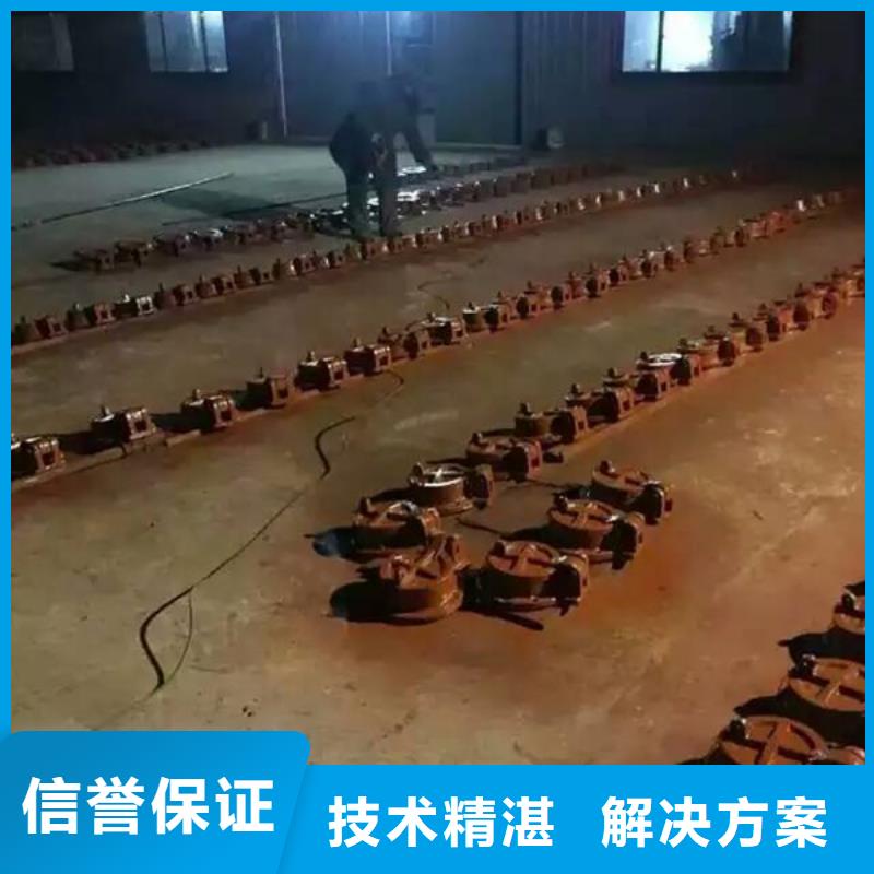 诚信的600铸铁拍门厂家