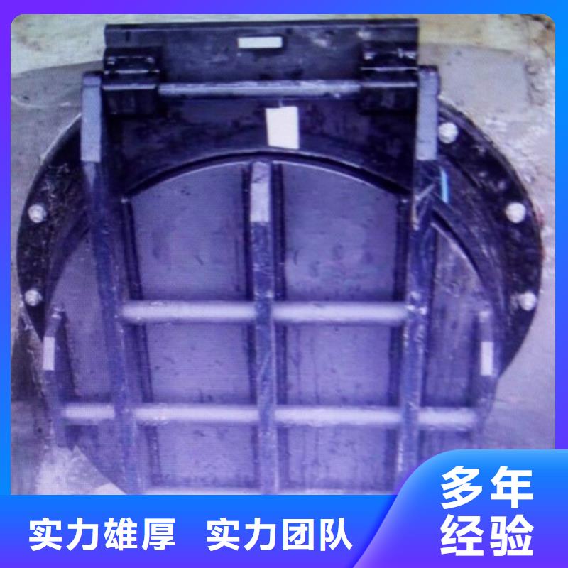 批发DN300铸铁拍门的销售厂家