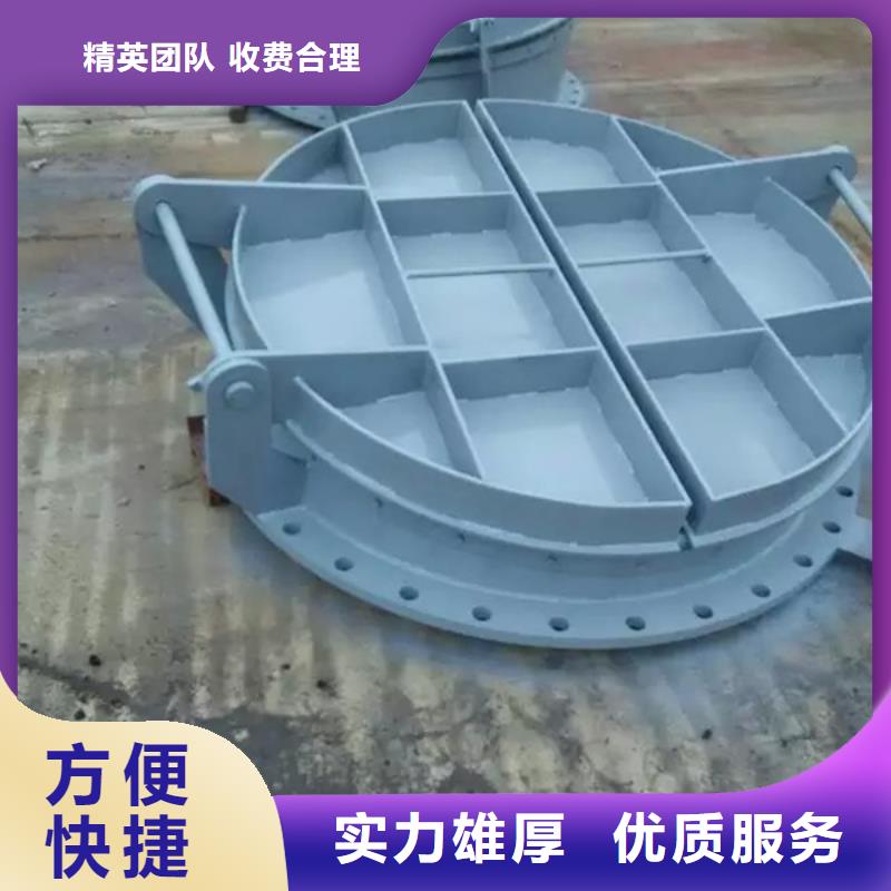 诚信的600铸铁拍门厂家