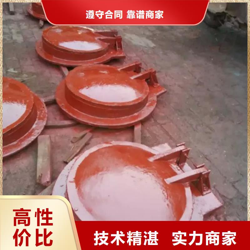 拍门闸门质量好发货快
