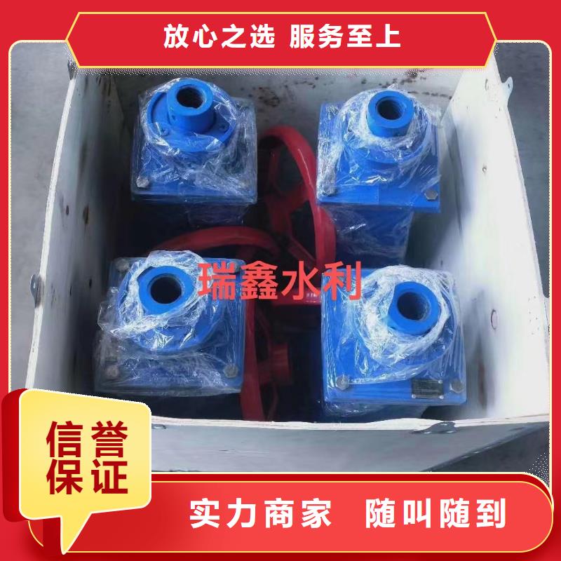 启闭机闸门带遥控螺杆式启闭机品质保障