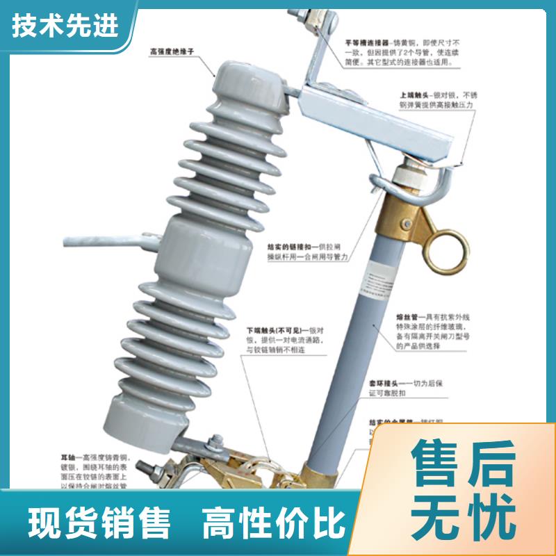 熔断器,三相组合式避雷器欢迎来厂考察