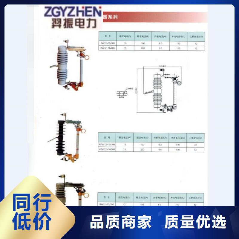 熔断器三相组合式避雷器支持定制