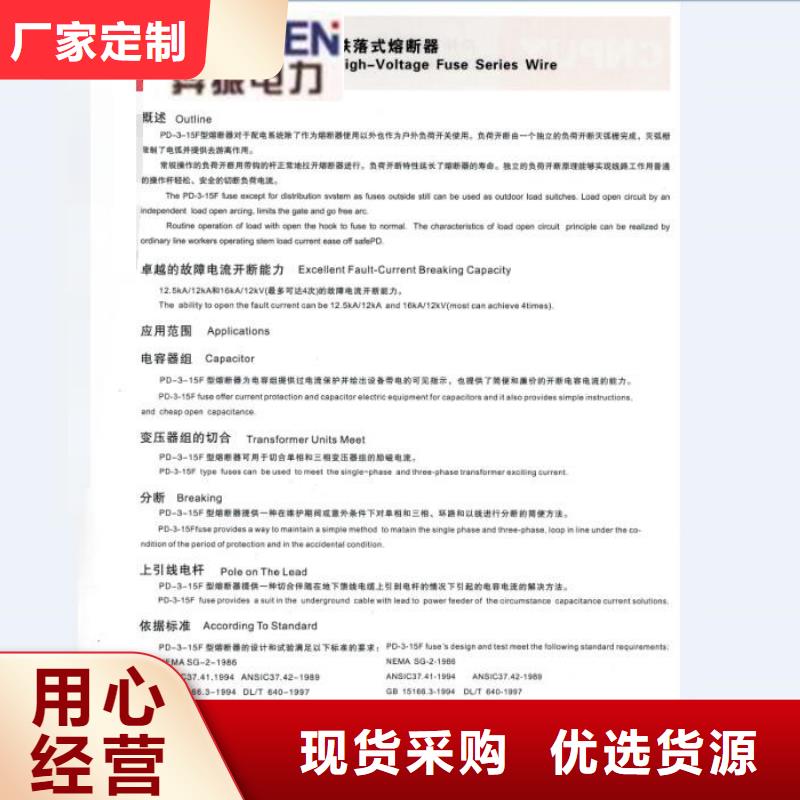高压熔断器RW12-10/100A