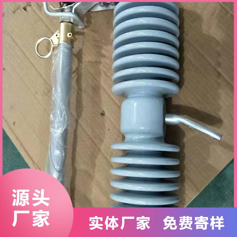 高压熔断器RW12-10/100A