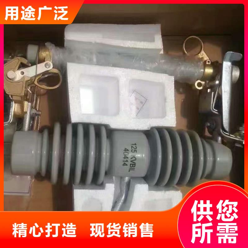 熔断器 跌落式熔断器48小时发货