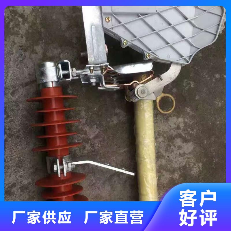 熔断器_CW2智能型式断路器工厂直供