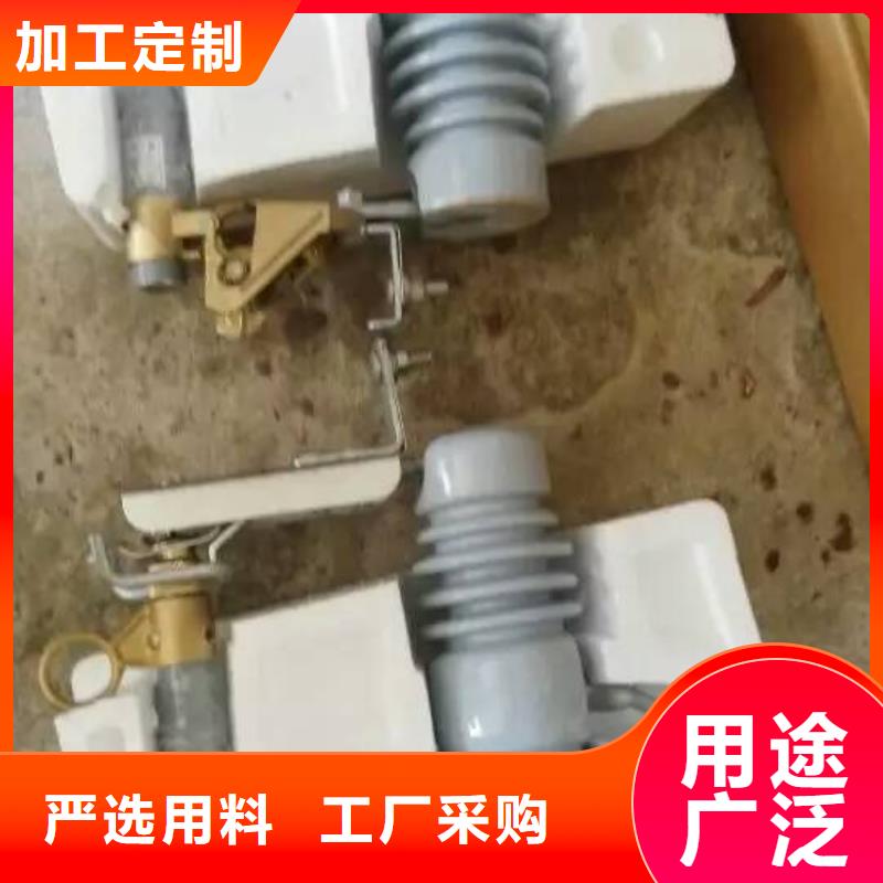 熔断器 绝缘子品质商家