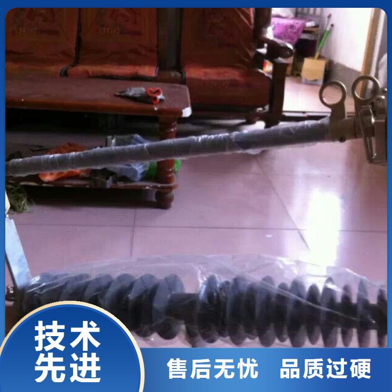 熔断器_真空断路器同行低价