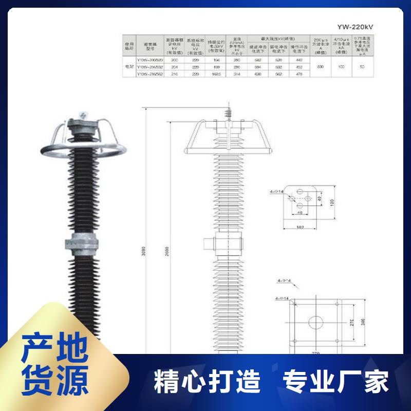 【品类齐全避雷器,金属氧化物避雷器快速发货】-附近品牌