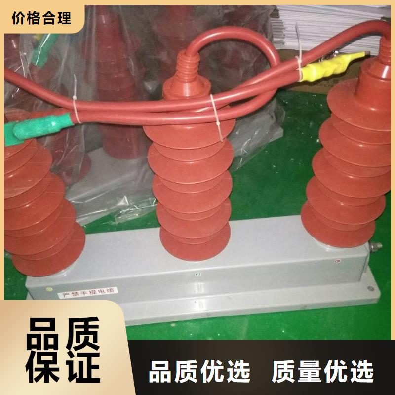 过电压保护器跌落式熔断器厂家现货实拍羿振【真空断路器】