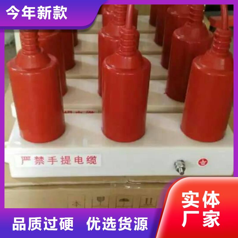 过电压保护器高压负荷开关大厂生产品质