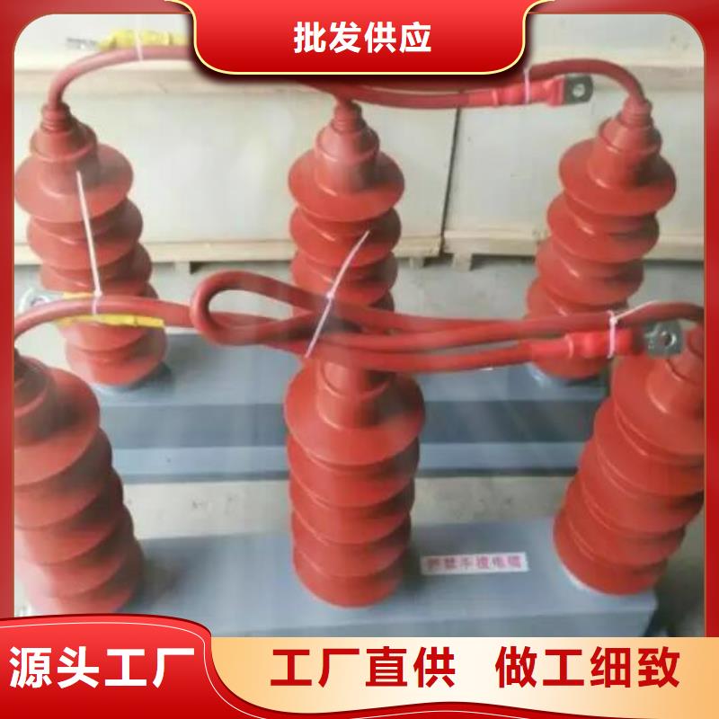 有生产源头把关放心选购过电压保护器真空断路器质量可靠的厂家吗