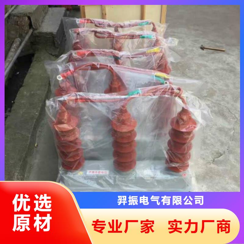 【真空断路器】羿振过电压保护器真空断路器匠心制造