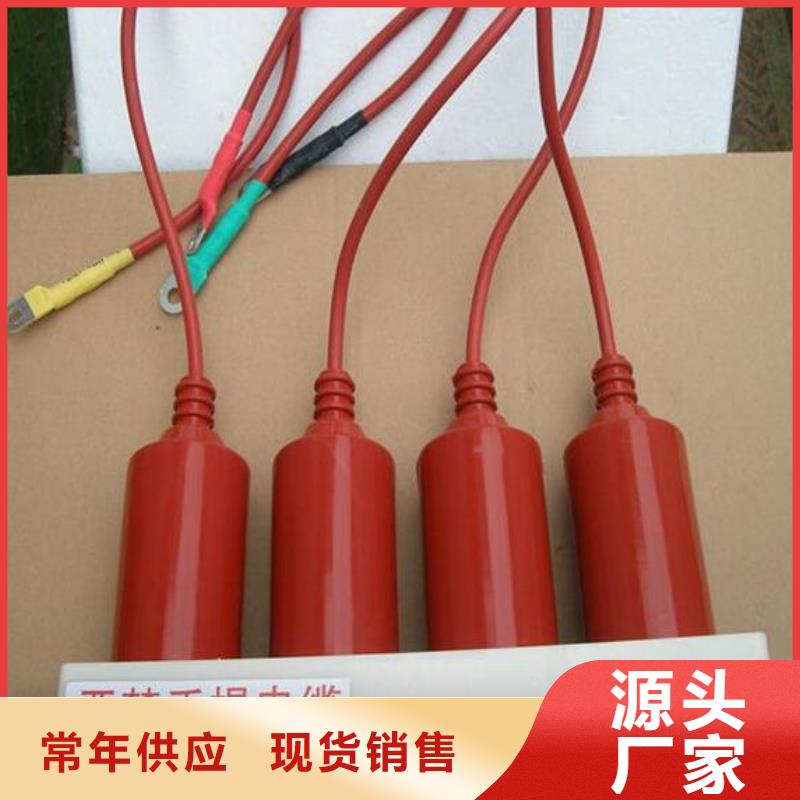 有生产源头把关放心选购过电压保护器真空断路器质量可靠的厂家吗