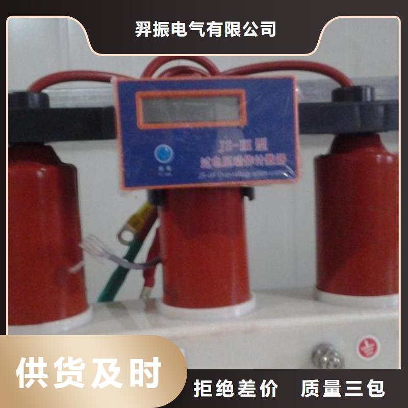 有生产源头把关放心选购过电压保护器真空断路器质量可靠的厂家吗