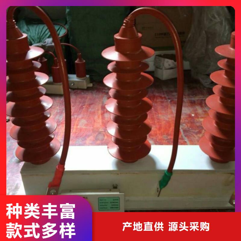 过电压保护器高压负荷开关大厂生产品质
