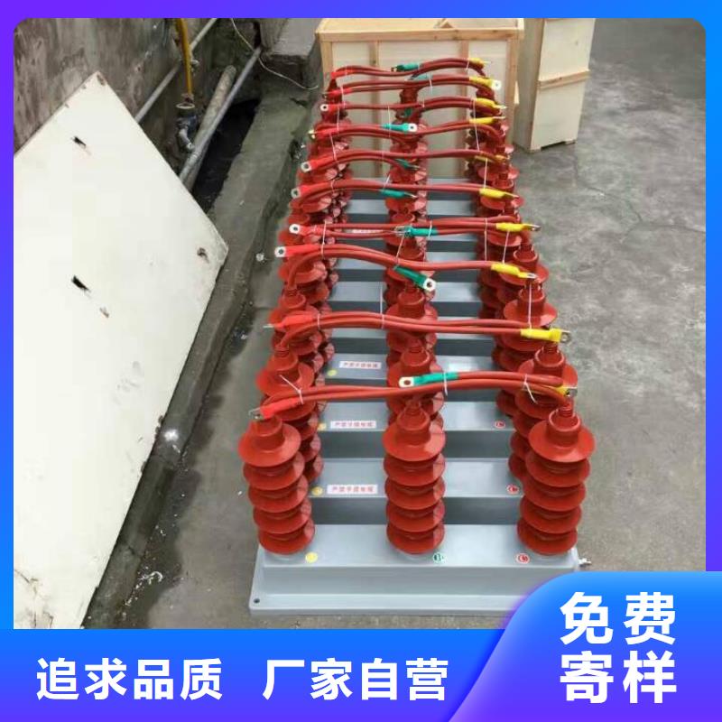 优良工艺过电压保护器高压隔离开关厂家拥有先进的设备-羿振电气有限公司
