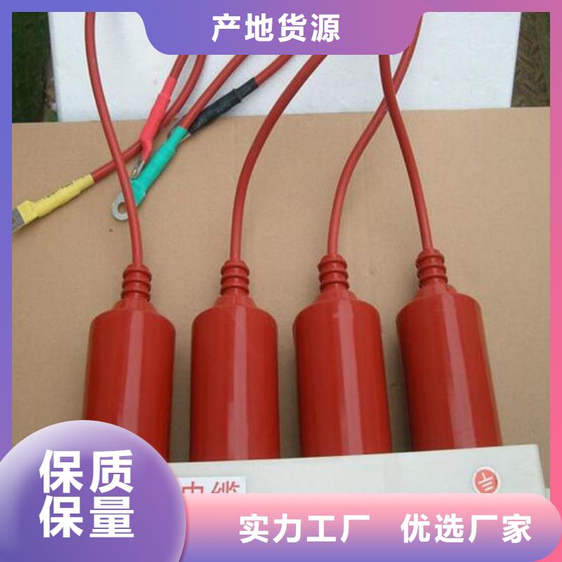羿振过电压保护器真空断路器质量可靠-二八商务